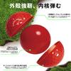 Kamlaku Golf Balls - Eye-catching Colors, 2-Piece Construction, High Rebound, Distance Balls, High Durability, Long Distance, 3-Pack12-Pack