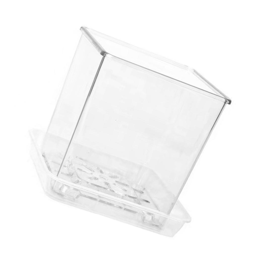 Clear Breathable Plant Container Desktop Ornament Planter Plant Pot Crafts Decors Planter Landscape Crafts