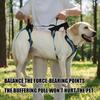 Two-Part Dog Support with Front Walking Section, Rear Support Section, and Side-Release Buckles for Daily Use