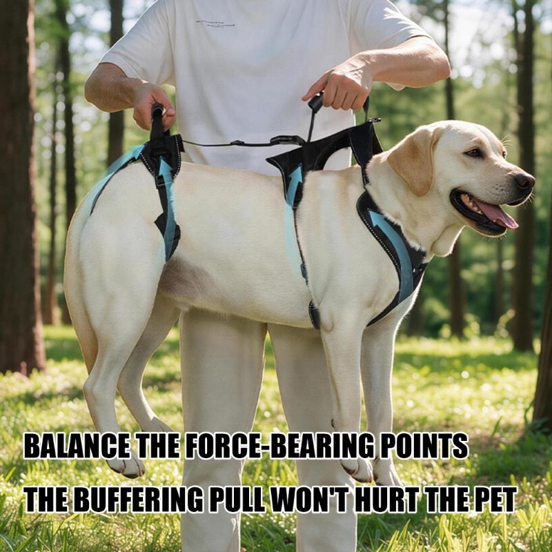 Two-Part Dog Support with Front Walking Section, Rear Support Section, and Side-Release Buckles for Daily Use