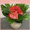 Plants Silk Artificial Multi Branch Red Palm Heart Ear Leaves Wedd Office Decor