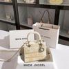 Modische leichte Luxus-Bestickte Konsortentasche, Einzelne Schulter-Crossbody, Hochwertige Handtasche