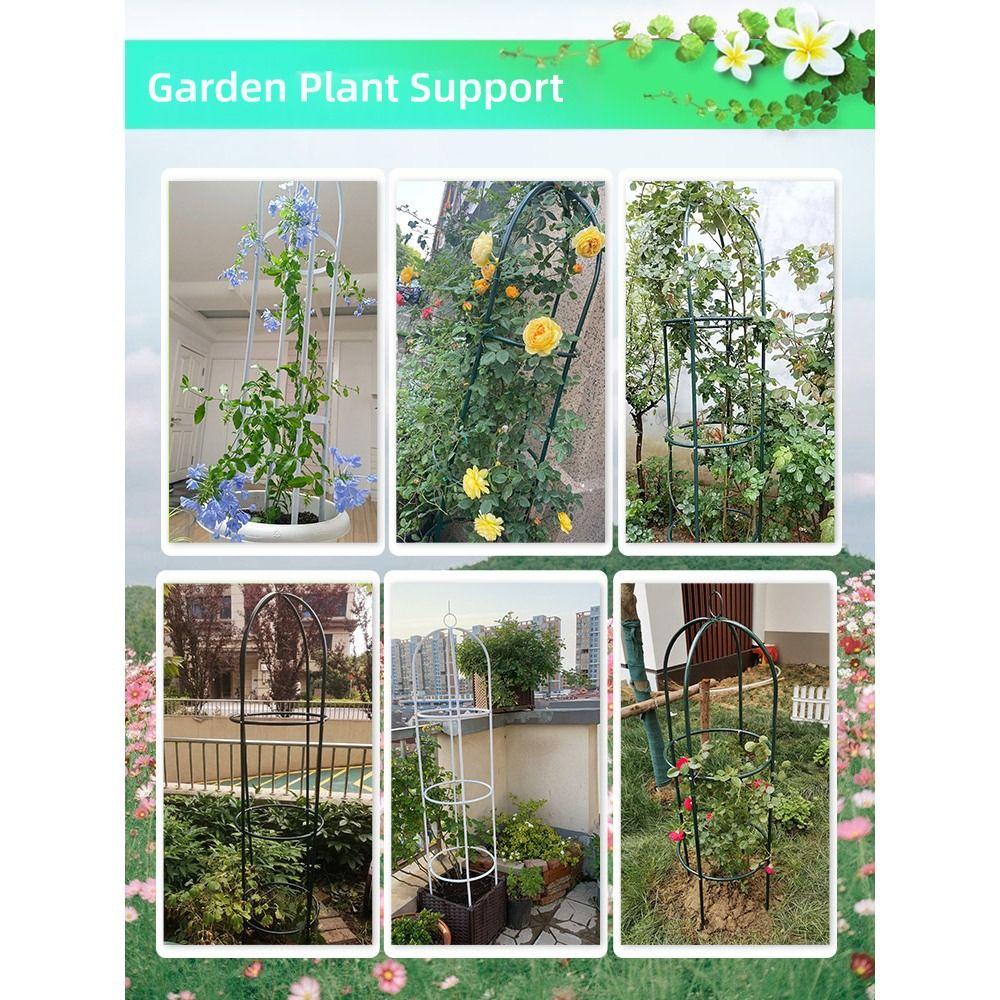Adjustable Height Garden Trellis Stable Construction DIY Plant Support Frame Round Accessories Flowers Stand Home Decoration