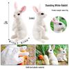 Realistic Animal Models: White Fox, White-tailed Deer, Arctic Fox Children's Gift Toys