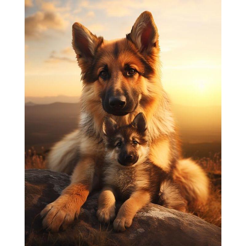 

5D Diy Алмазная картина Собака Алмазная вышивка Полные квадратные стразы Картины Вышивка крестом Мозаика Ремесло Домашний декор Full Round 50x70CM