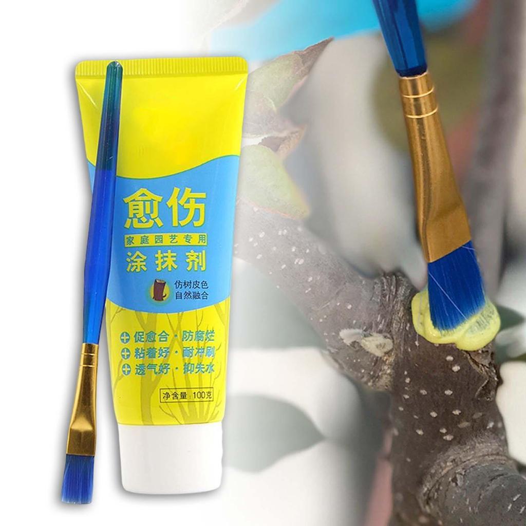 Tree Wound Sealer Multifunction with A Brush Healing Compound Cream 100G Pruning