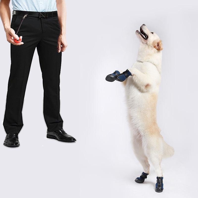 Quick Clicker Dog Training Whistle: Pet Command Equipment