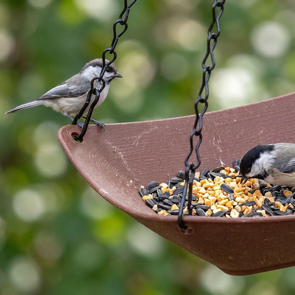 Open Bowl-shaped Hanging Bird Feeder Thickened Bird Feeding Platform Hummingbird Feeder Balcony