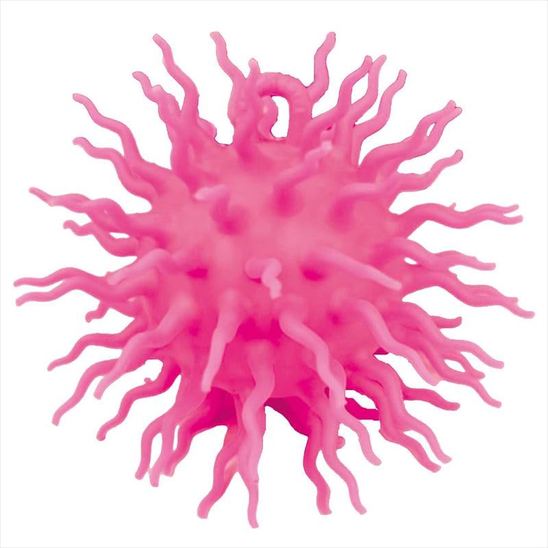 Unique Iga Sea Urchin Ball Assortment Iga Sea Urchin Size UN-0321