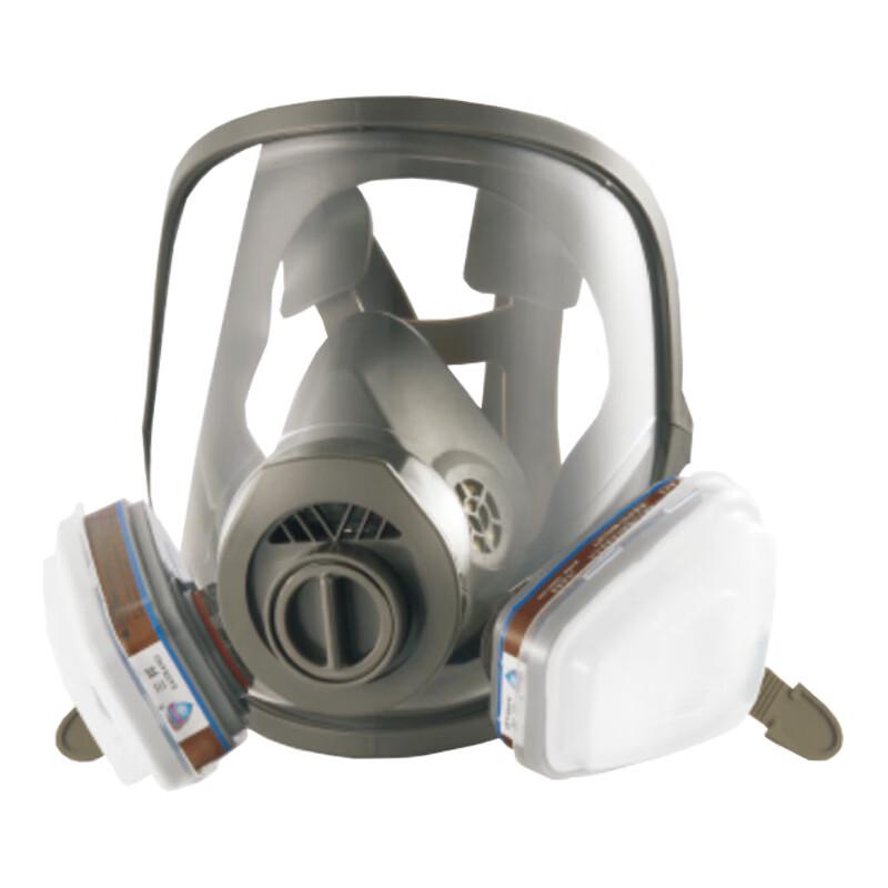 Brangdy 780D Full Face Respirator Mask