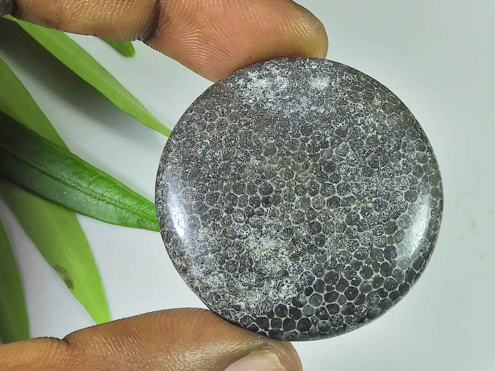 

60Cts. Natural Fossil Coral Round Shape Cabochon Loose Gemstone 38X38X05 MM RQ-2266