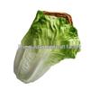 PU Simulation Purple Cabbage & Lettuce Vegetables - Faux Plants for Decoration, Education & Photography Props