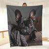 Puppy Dog Theme Cute Animal Pattern Art Blanket - Soft All-Season Multi-Purpose Throw for Couch, Bed, Office, Travel & Gift