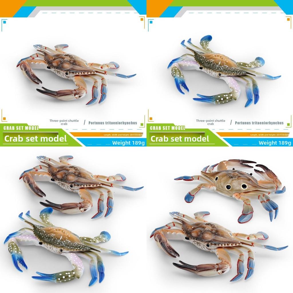 Large Pvc Marine Animal Model Crab Aquarium Ornament For Marine Life Decor