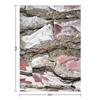 Pine Bark in Brittany Throw Blanket Hair Shaggy Decorative Beds Beautifuls Blankets