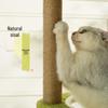 Fandou Pumpkin Cat Climbing Frame with Space Capsule Bed