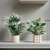 Nordic Style Artificial Potted Plants for Indoor Decor: Perfect for Living Rooms, Offices, and Desktops
