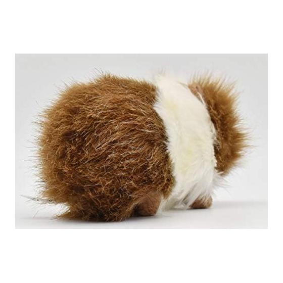 BH3735 HANSA Guinea Pig 20