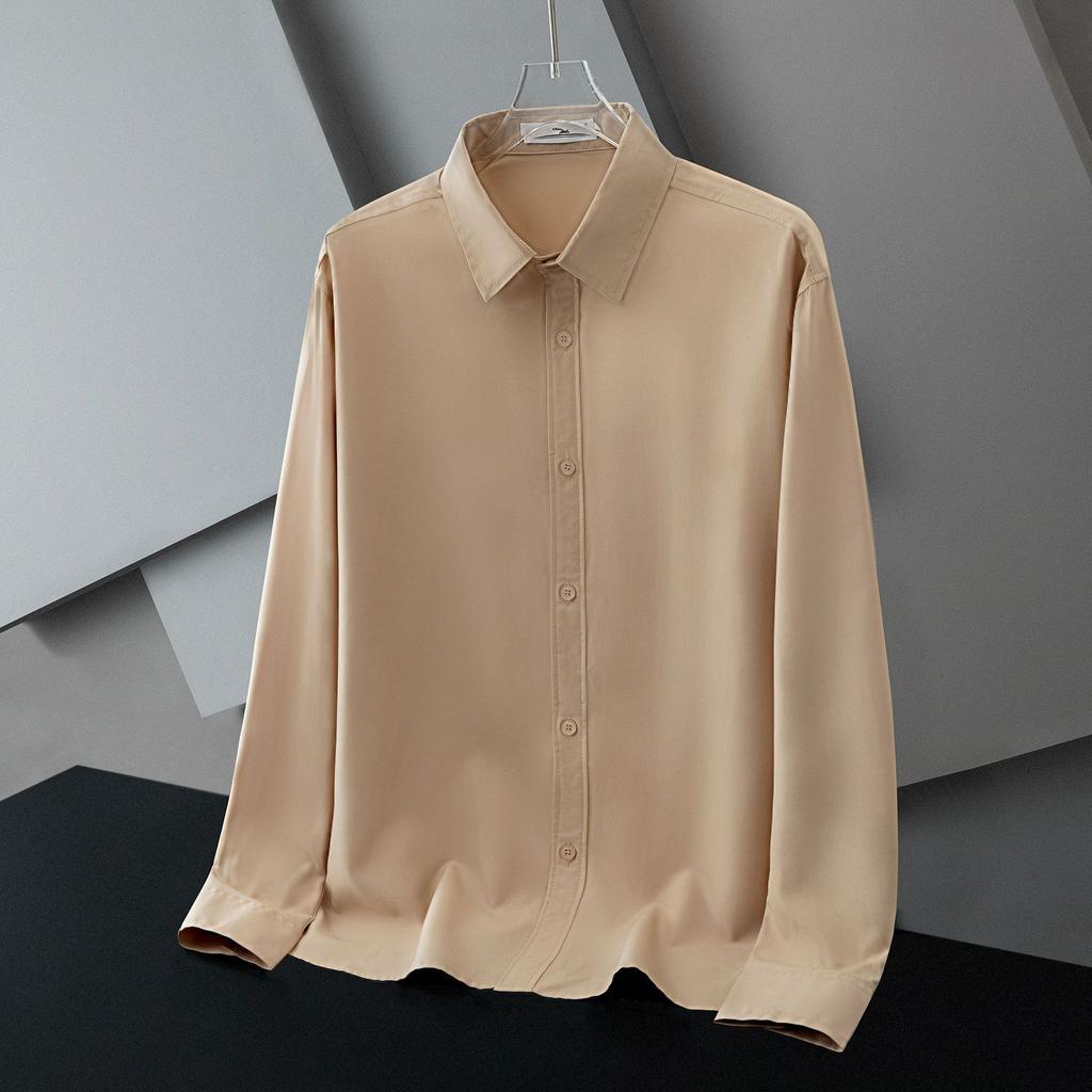 Spring and Autumn Business and Leisure Minimalist Flip Collar Silk Smooth Non Ironing Breathable Elastic Shirt for Men