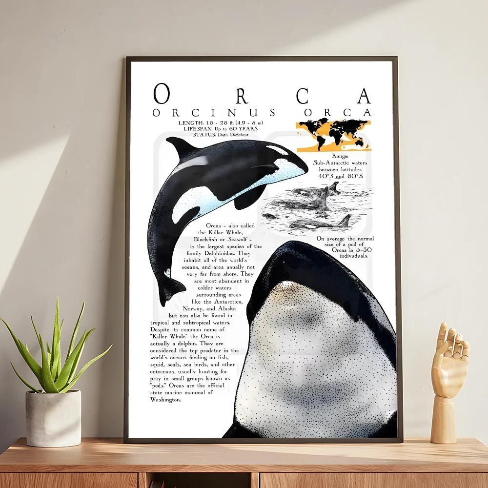 Whale and Shark Seashells Turtles Octopus Fish Marine Life Ocean Animals Poster and Print Canvas Painting  Wall Art Home Living Room