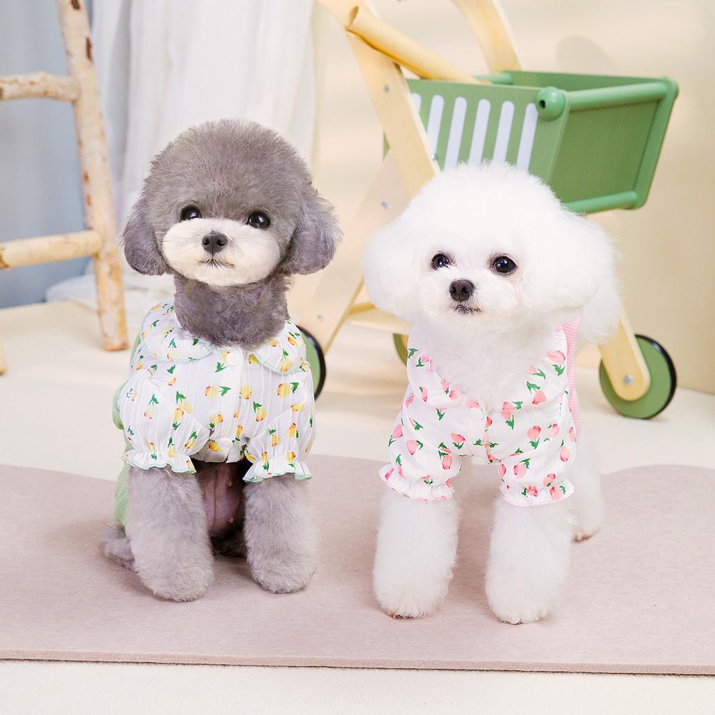 Pet Dog Four-legged Pants Pet Dog Home Clothes Pet Dog Clothes Spring and Summer New 24 Floral Four-legged Pants