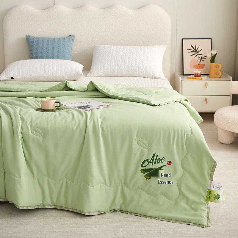 Tangna TN-SQ23033 Aloe Vera Beauty Quilt 4-Piece Bedding Set