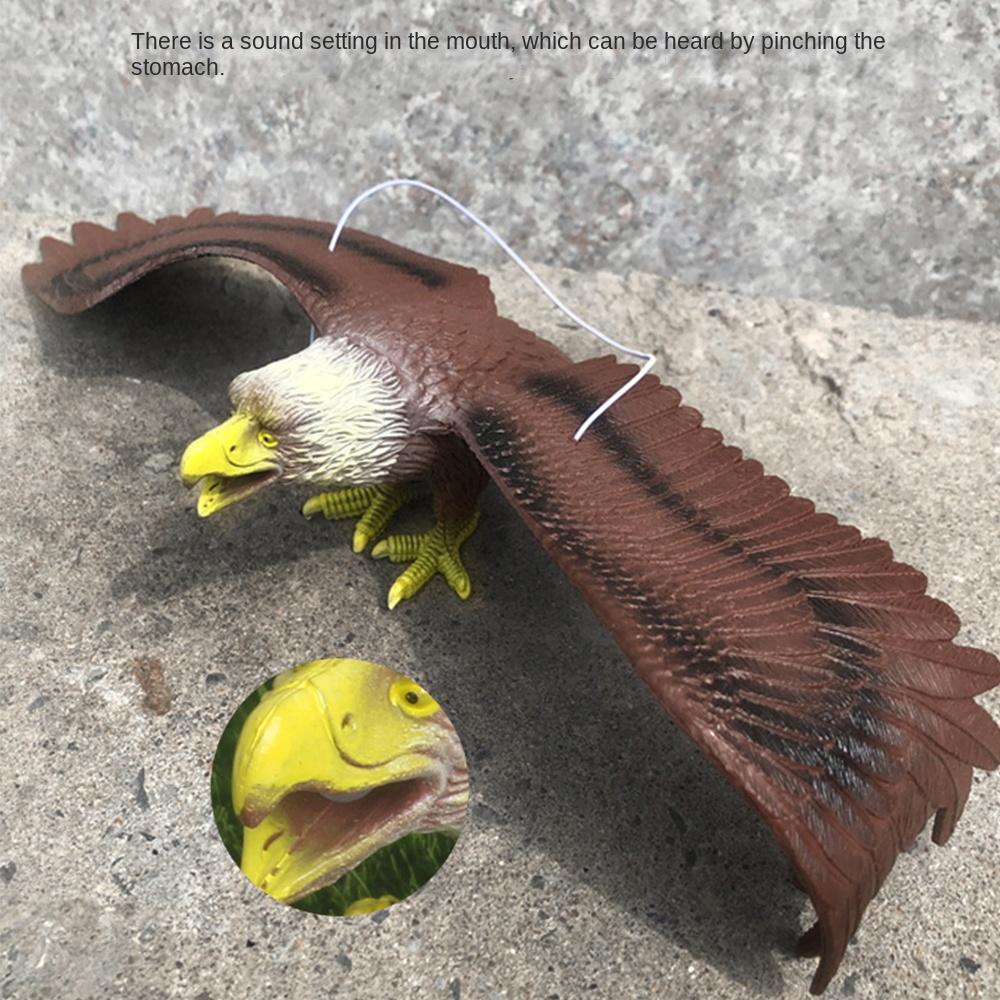 Waterproof Realistic Education Ornament 3D Animals Figures Simulation Animal Bird Toy Eagle Toy