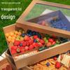 Disposable Pulp Picnic & Bento Boxes