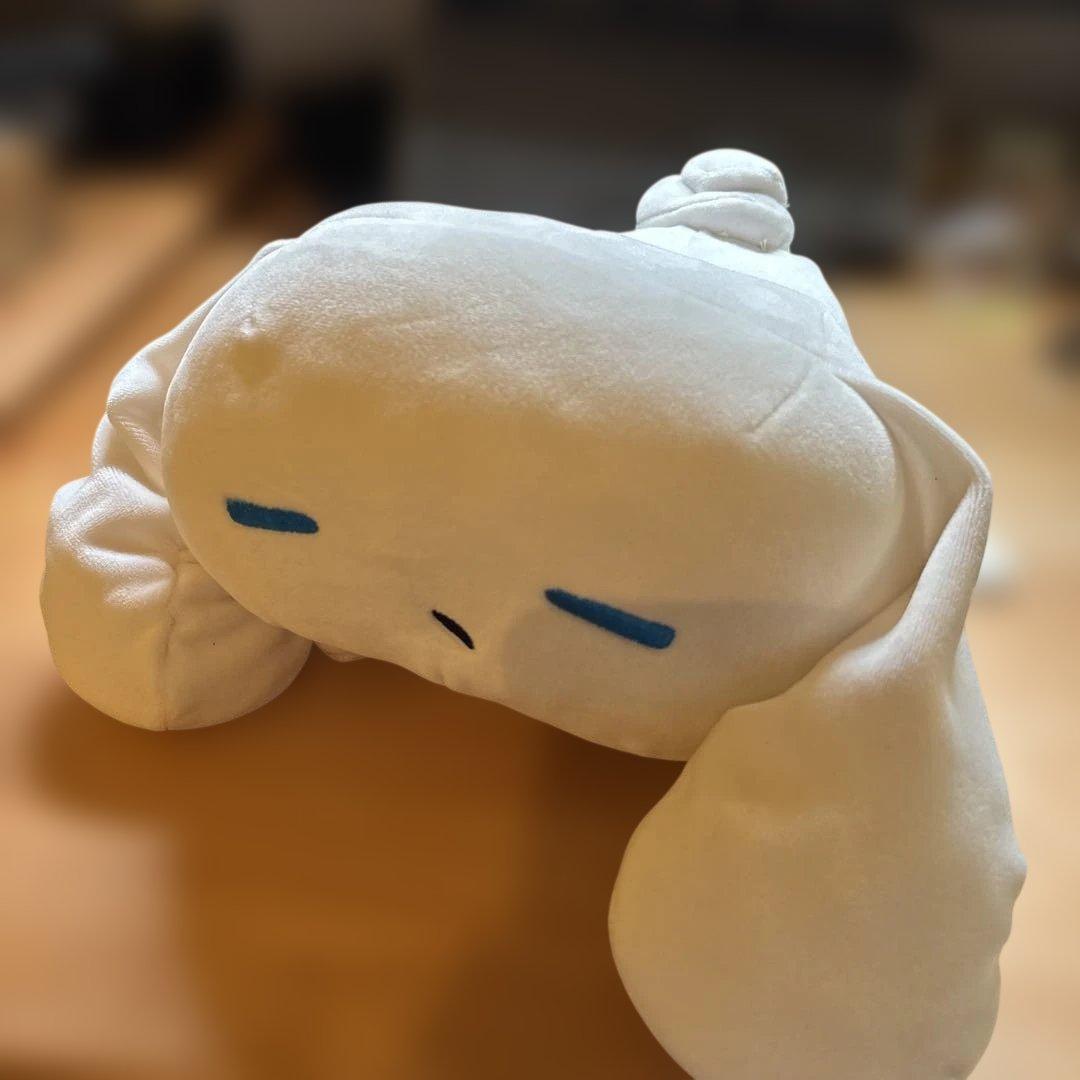 Sanrio Aicinamoroll hugging stuffed animal