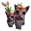 Cute El Gato Wowwow Cat Doll Plush Toy Simulation Stuffed Animal Collectible For Kids Birthday Or Holiday Gift