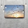 Airborn Classic Poster Rusty Metal Plaque Retro Decorative Plate Bar Man Cave Garage Club Metal Sign Wall Decoration