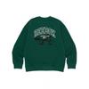 Reebok Street Basketball Sweatshirt   Grün