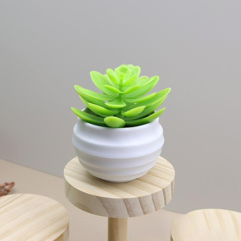 

Simulated Succulents artificial succulents with pots,plastic for desktops, offices and decorations - ideal for decoration