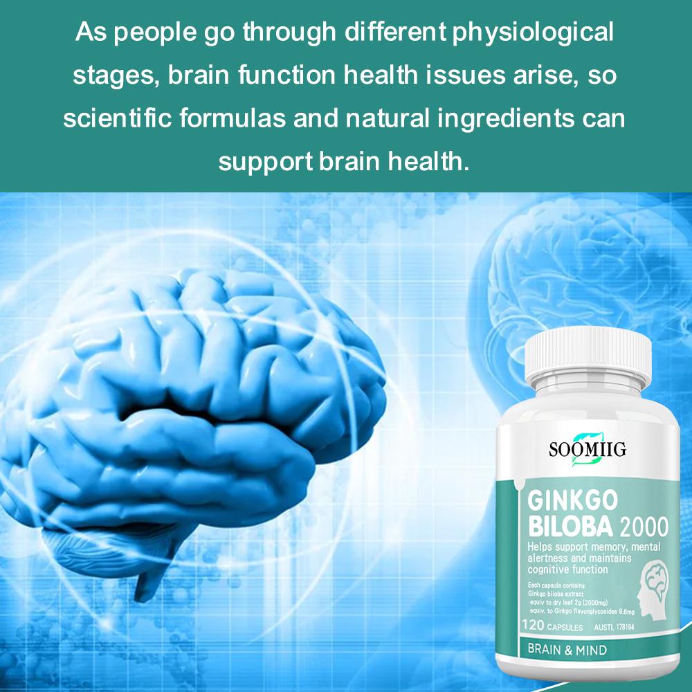 Capsule Estratto di Foglie di Ginkgo 2000mg — Alta Potenza, Integratore Alimentare Biologico e Naturale — 120 Capsule