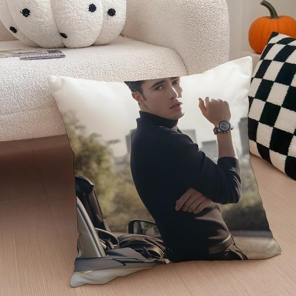 PPaxton HallYoshida Cushion Cover Throw Pillow Cover Hidden Button Durable Polyester Chair Cushion