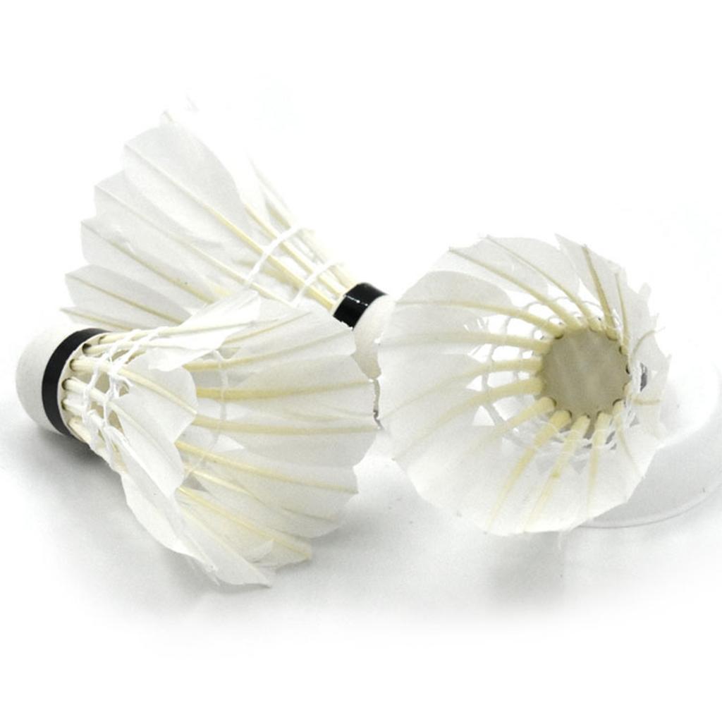 Shuttlecock Badminton 12Pcs Badminton Shuttlecocks Feather Shuttlecocks Sports Training Badminton Balls Outdoor Sports