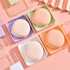 Transparent Powder Puff Beauty Egg Storage Box Safe Plastic Material Multifunctional Waterproof Dustproof Cosmetic Storage Box