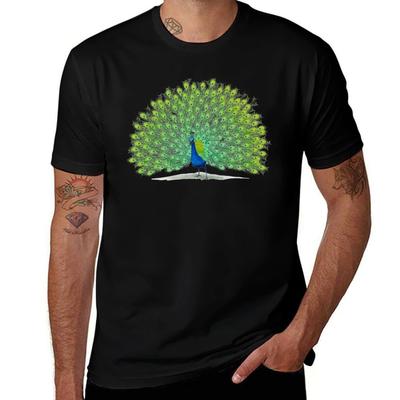 Colorful Peacock Painting Art Tshirt Casual Work Wear Tshirt