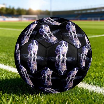 1pc Reflection Loyalty Size 5 Soccer Ball Professional Match Training Football Indoor &Outdoor Sports Ball Lightweight Durable C65120
