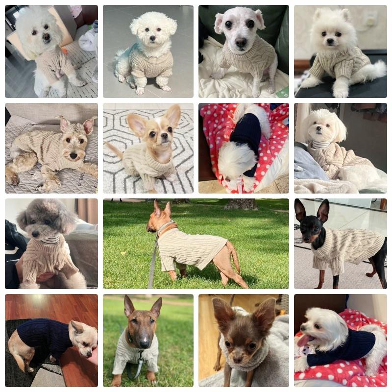 Dog Clothes for Small Dogs Warm Pet Dog Knit Sweater Cute Solid Puppy Turtleneck Winter Soft Cat Sweaters Chihuahua Pet Clothes