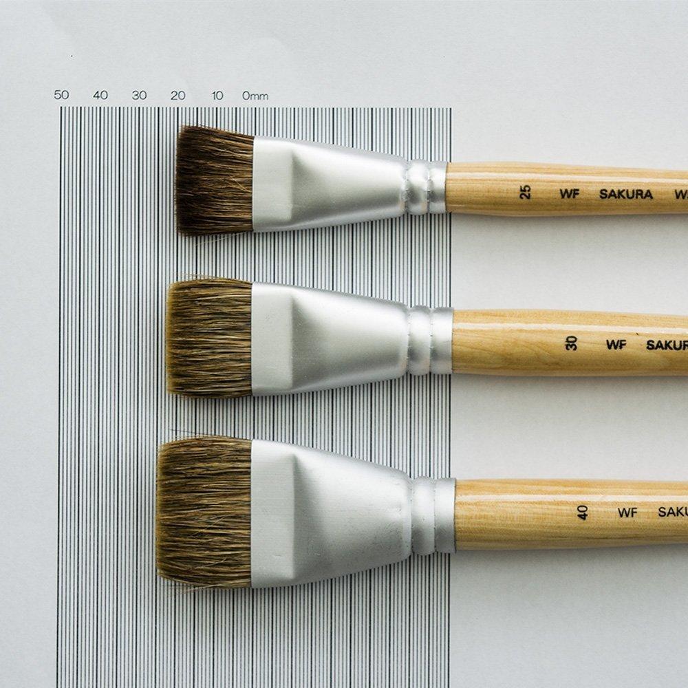 Sakura Craypas Wide Paint Size 40 5 brushes Brush, (WF40) -