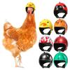 Cartoon Pet Chicken Helmet Mini Pet Protective Headgear Bird Protect Cap  For Bird Quail Pigeon