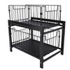 Under Sink Organizer Iron 2 Tier Pull Out Spice Rack Countertop Storage Shelf for Kitchen Bathroom