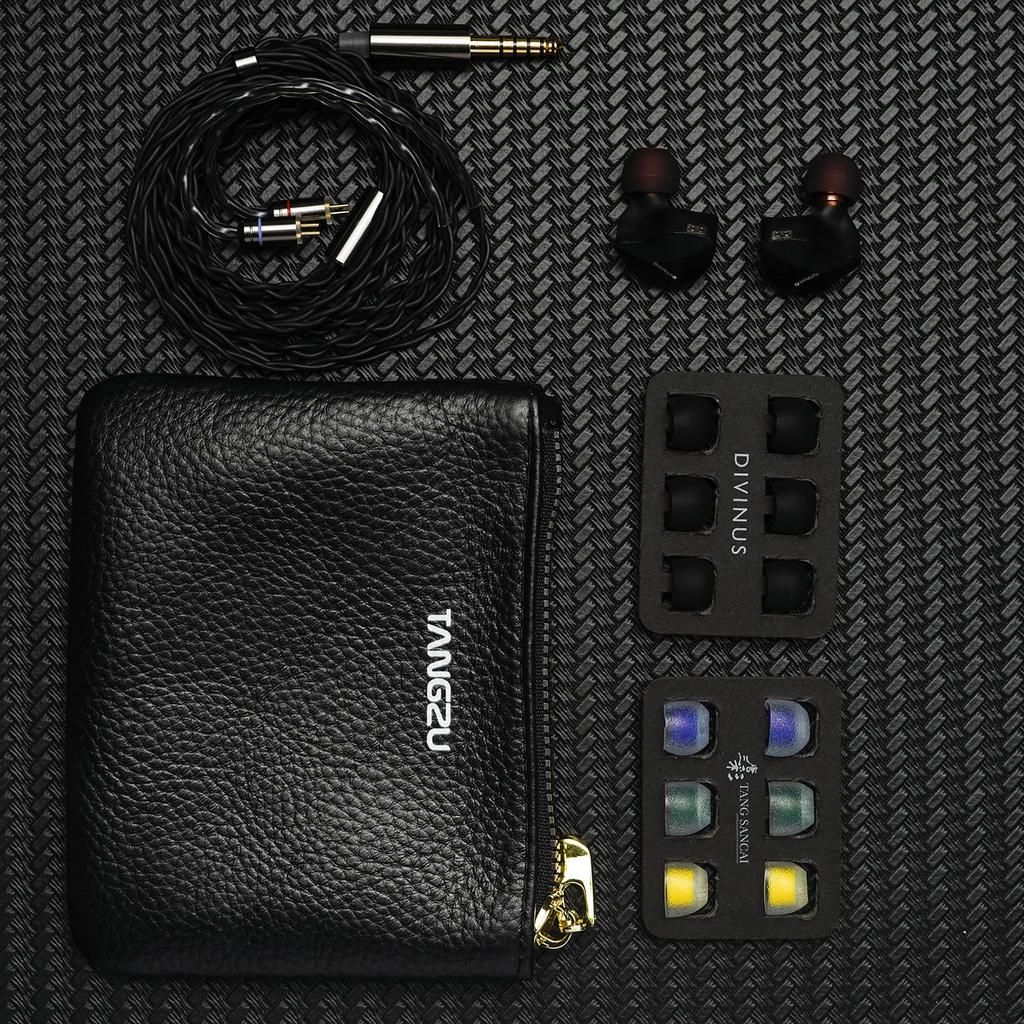 HiFiGo TANGZU x DIVINUS FUDU VERSE1 3 Hybrid Driver In-Ear Monitor, ZEN Series 10mm DD+ 2BA In-Ear Earphones with 3D Printed Shell (4.4mm, Black)