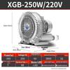 High-Pressure Vortex Air Pump & Blower for Industrial Use and Fish Pond Aeration
