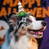 1 Pair Halloween Dog Barrettes Witch Hat Pet Hair Clip Felt Skull Gauze Cobweb Hair Accessories for Puppy Cats Festive Dress-up