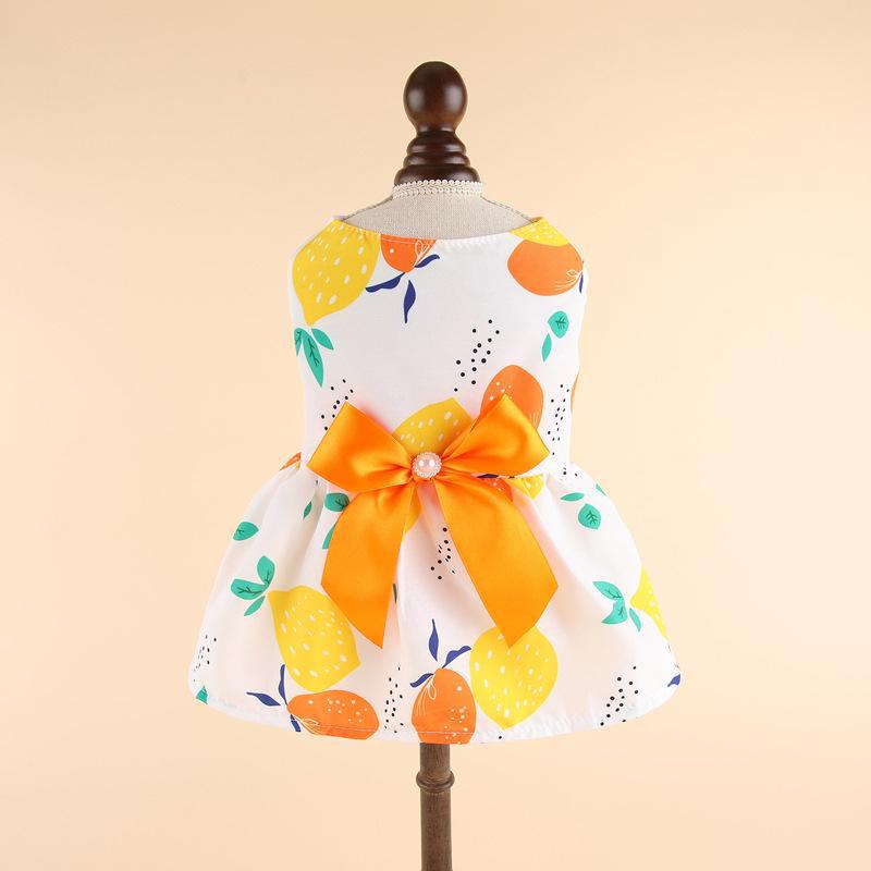 Spring/Summer Pet Clothes: Cute Cartoon Skirt for Dogs & Cats (Teddy, Pomeranian, Bichon)