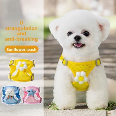 Köpek – Köpek Tasmaları ve Tasma Kayışları