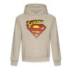 Superman Unisex Adult Classic Logo Hoodie