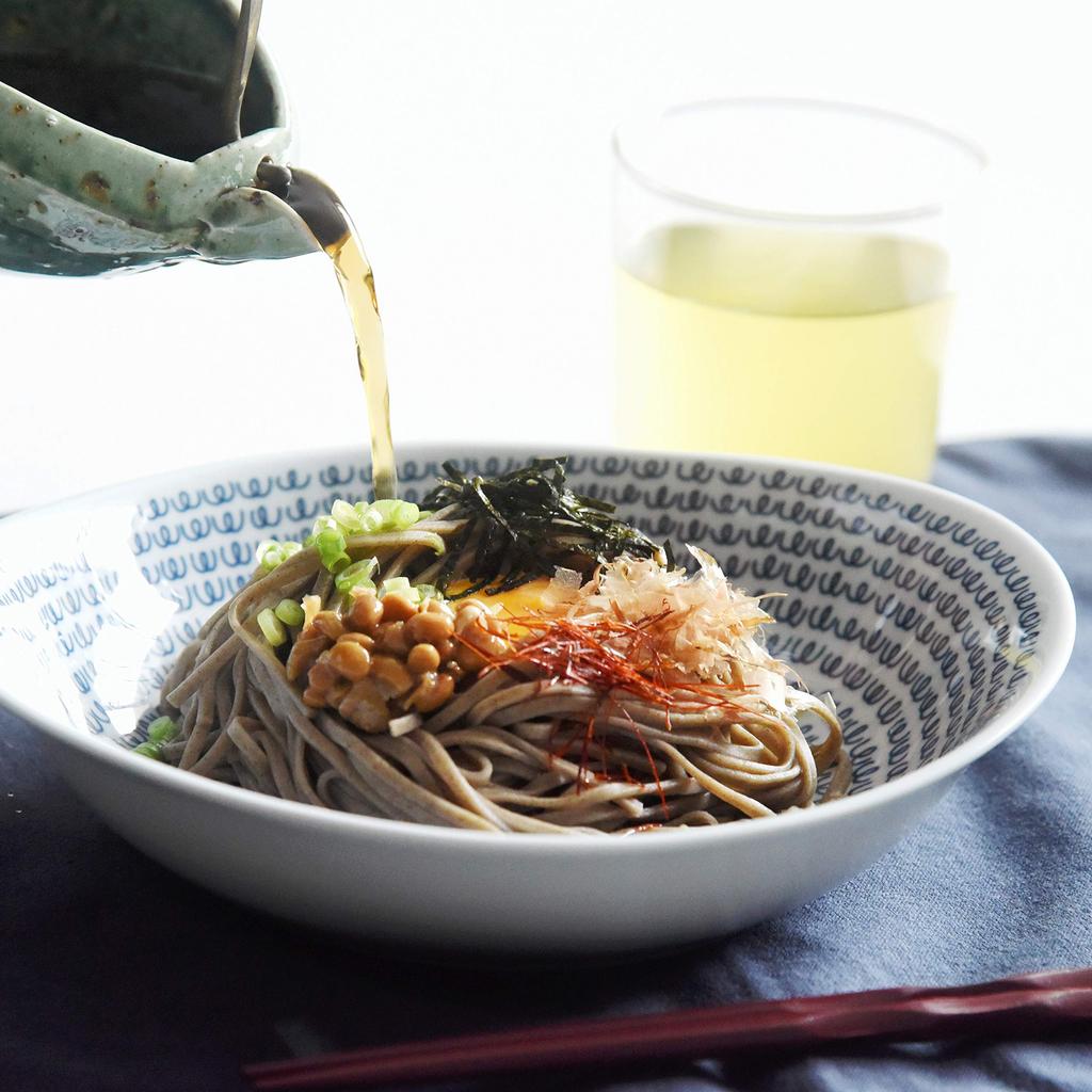 Natural69 Hasami Ware Set Curry Pasta Set Natural 69 Hasami Ware Curry Pasta Large Microwave Dishwasher Made In Stylish and Nordic Japanese